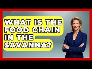 What Is The Food Chain In The Savanna? - African Roots And Routes