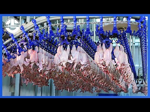 Most Satisfying Food Manufacturing Process and Ingenious Machines