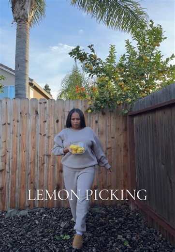 Lemon Picking Adventures: Your Neighbors' Hidden Treasure