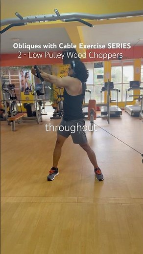 Low Pulley Wood Choppers : Obliques with Cable Exercise SERIES