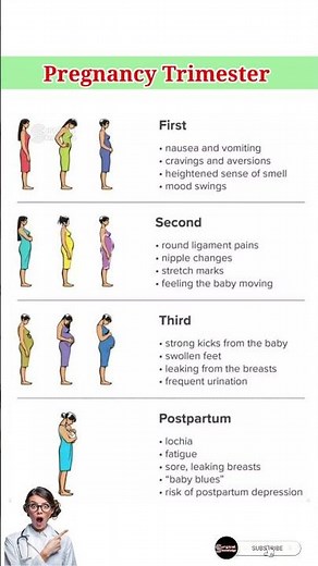 Pregnancy Trimester #pregnancy #pregnancyjourney #weekbyweekpregnancy