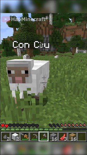Minecraft Memes Exploding Sheep 💥 #minecraft #memes #funny
