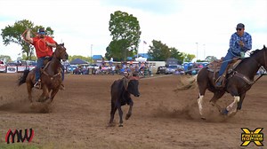 908K views · 1.9K reactions | The "play-by-play" commentary and...