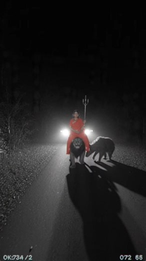 36K views · 1.1K reactions | Who was she who was going into the jungle riding a lion? | RkR History 000 | Facebook