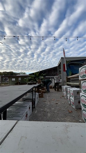 Our first Apple festival showcase was a success! Thank you to the good folks of Cookeville, Tennessee for showing us love as we took our show on the road all the way from Georgia! That’s right! We came, representing Georgia…and North Carolina for that matter with a wonderful selection of farm fresh apples! It was such a rush of excitement for us to see the THOUSANDS of people pouring into the fairgrounds looking for the apples and so many other attractions! We can’t wait to be back next year! Th