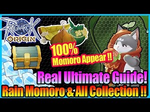 Real 100% Rain Momoro + All Treasure & Chest Detailed Guide with Map!! [Ragnarok Origin Global]