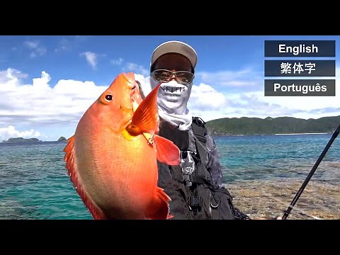 Great Time in Fishing Heaven, Zamami Island