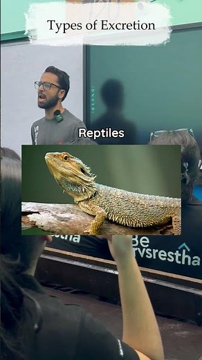 Types of Excretion Revision | Excretory Products & Their Elimination | Class 11 Biology NCERT | NEET