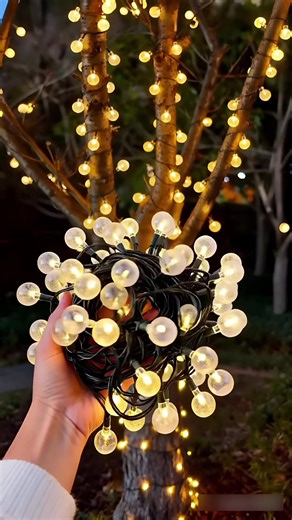 Solar String Lights: Transform Your Outdoor Space