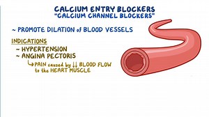 Video: Calcium channel blockers - Video Explanation! | Osmosis | Osmosis