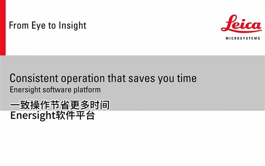 Enersight软件平台：一致操作节省更多时间