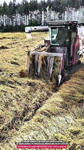 High-Performance Rice Combine Harvester Machine for Fast 12-Row Field Harvesting