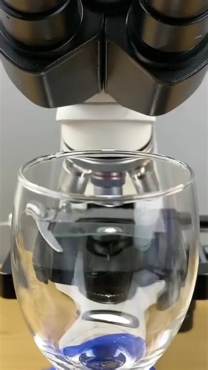 Little Little World on TikTok