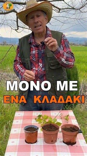 Θες ΓΑΡΔΕΝΙΑ νέα και ΔΩΡΕΑΝ; Κάντο μόνος σου !