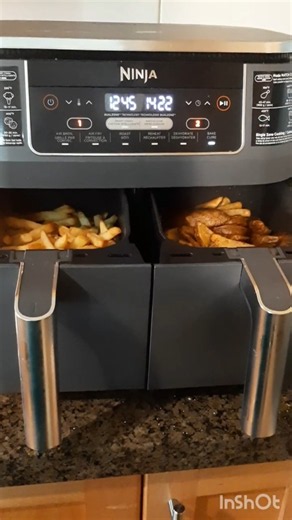 $4 🇨🇦 budget Ninja Foodi Dual Zone Air fryer Easy Homemade French Fries