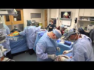 David Flurett Receives a Double Lung Transplant