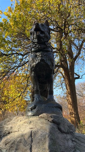 100 years of a good boy! 🐾 To celebrate the Balto statue’s 100th anniversary, Central Park Guide Ryan took to the Park to speak with a few of our four-legged friends about Balto’s story and legacy. Shout out to Central Park regulars Fitzgibbon, Cooper, and Daisy (and of course, their humans). 🐶 Discover even more Park history on an official Central Park tour! Learn more: https://bit.ly/4oWROPq 📷 Source: Cleveland State University. Michael Schwartz Library. Special Collections. | Central Park