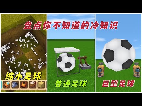 Want to know how many types of soccer balls there are in Mini World?! Which of these three differ...