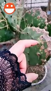 【Funniest videos】 The best moments 2020▶ 28