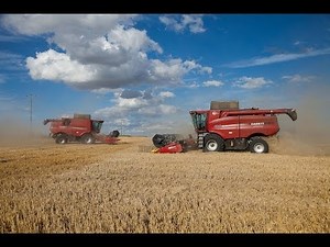 Moisson blé Case IH AFS 8010 x2 - wheat harvest - John Deere 6210R