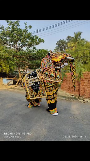 Vibrant Traditional Elephant Costume Showcase