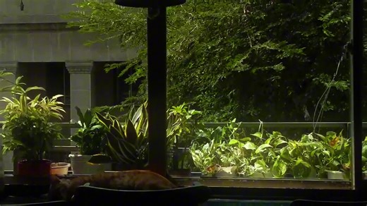 Exploring Digital Camera Photography Techniques