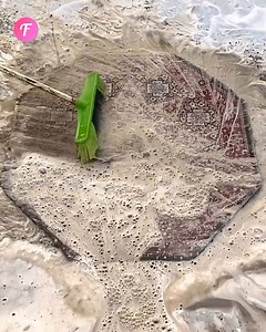 Sparkling Rug Deep Clean: DIY Guide | Fabiosa Philippines