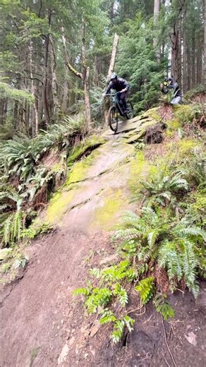 Steep, deep, and plenty of rock. Santa Cruz Bullit still parties! 🚀 #MTB #santacruzbullit #mtblife