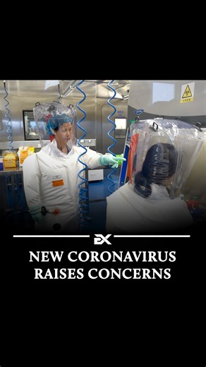 Execute on Instagram: "Researchers have recently identified a new bat coronavirus, HKU5-CoV-2, which shares similarities with SARS-CoV-2, the virus responsible for COVID-19. This virus utilizes the human ACE2 receptor for cell entry, indicating a potential for zoonotic transmission. However, it does not yet exhibit the ability to infect humans, though further investigation is needed to assess mutation risks. > @execute"