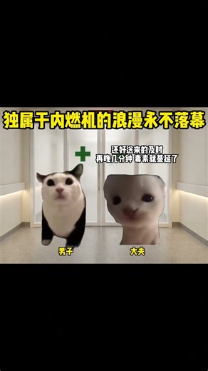 Internal Combustion Engine: Come on, let's have one last dance! #CatMeme #CatMemeMiniTheater