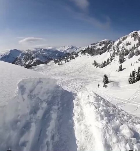 Артём Фурманюк on TikTok