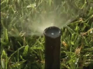 Rain Bird 12DSQ Dual Spray Nozzle, 90° Quarter Circle Pattern, 9' - 12' Spray Distance