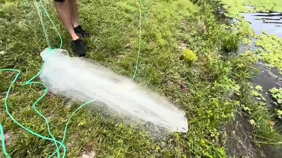 Net trap hauls in a massive backyard pond catch
