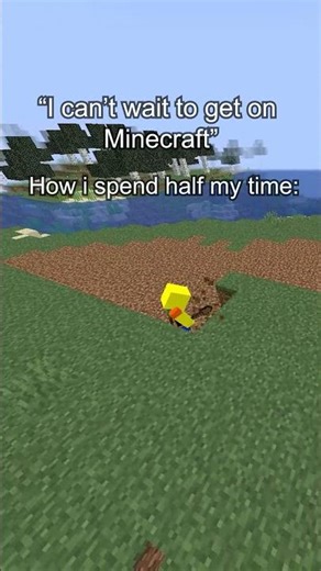 It’s time for the two week Minecraft phase. #Minecraft #relatable