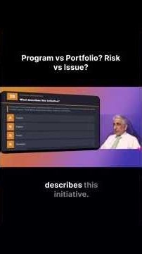 Program vs Portfolio? Risk vs Issue?