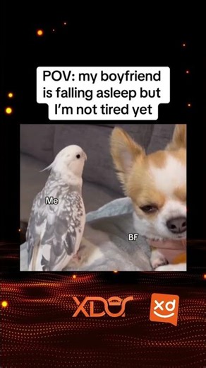 Love memes