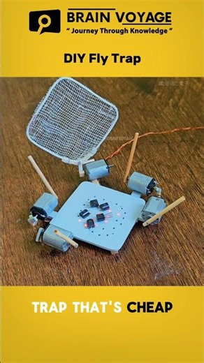 DIY Fly Trap — Time for the Big (But Humane) Punishment! #diy #homemade #shorts