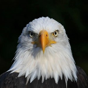 Ashland University • Home