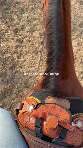 warm weather means we are outside !!! baylor’s favorite thing to do! we rode for almost 2 hrs today 🤠😭 someone convince me galloping isn’t scary because i’m almost positive he started doing it && i about ate the ground - now i know, don’t canter home LOL … i need tips / tricks #creatorsearchinsights #trailride #trailriding #horseback #horsebackriding