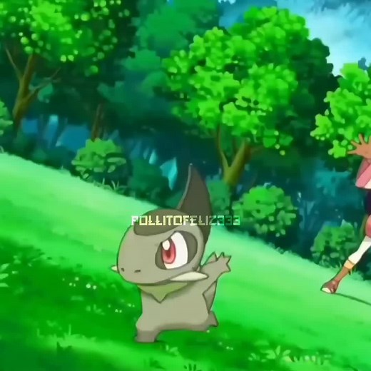 Iris vs Cynthia: Garchomp vs Haxorus Battle in Pokémon