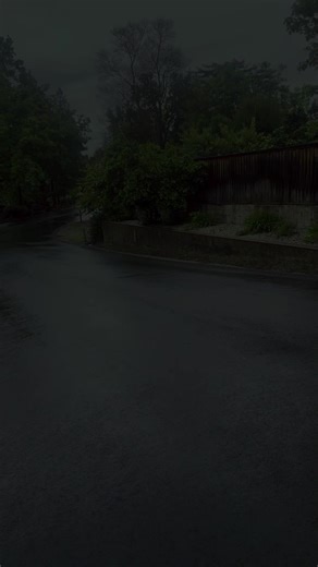 Aguilar’s tree service (@josaguilarvzquez)’s videos with sonido original - Aguilar’s tree service