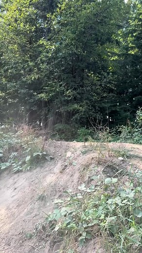 42K views · 1.1K reactions | So stoked on how the new BBR Motorsports Pro-Comp TTR110 swing arm turned out! If you want to go big then this the swing arm for the job Wh | carsonbrown910 | Facebook