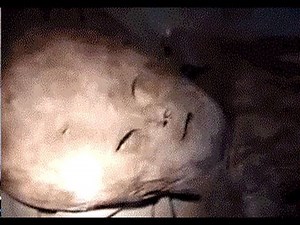 REAL ALIEN CREATURE CAUGHT ON TAPE