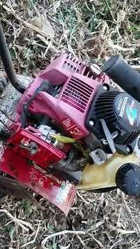 Honda GX31 4 Stroke Problem