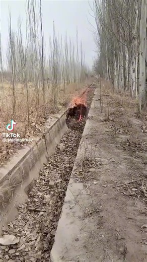 Katlego/seloane (@kseloane01)’s videos with original sound - Katlego/seloane