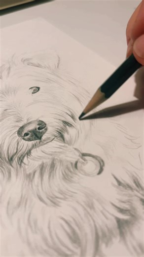 Hundezeichnung mit Bleistift: A5 Kunstwerke