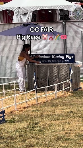 If you visit #orangecounty make sure to visit the #ocfair AND the 🐷 race! It was the highlight of the visit! 🎡🎟️🎢🎠🍦#ocjobcoach #ocfair2023 #costamesa #california