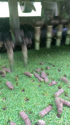 Trust the process 🌱💚 . . #golfcoursemaintenance #greenskeeper #turf_fiends #greenkeepers . . . Dustygreenkeepingltd (via/TT)