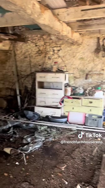 Renovating an Abandoned French Cottage: Costs & Tips