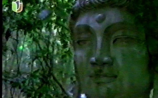 1994年上海电视台播出的广告